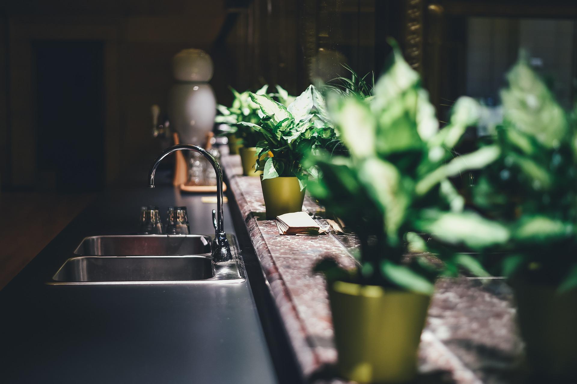 Decoración con plantas de interior