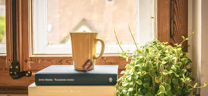 C&oacute;mo aprovechar la luz natural en casa y oficina para mejorar tu d&iacute;a